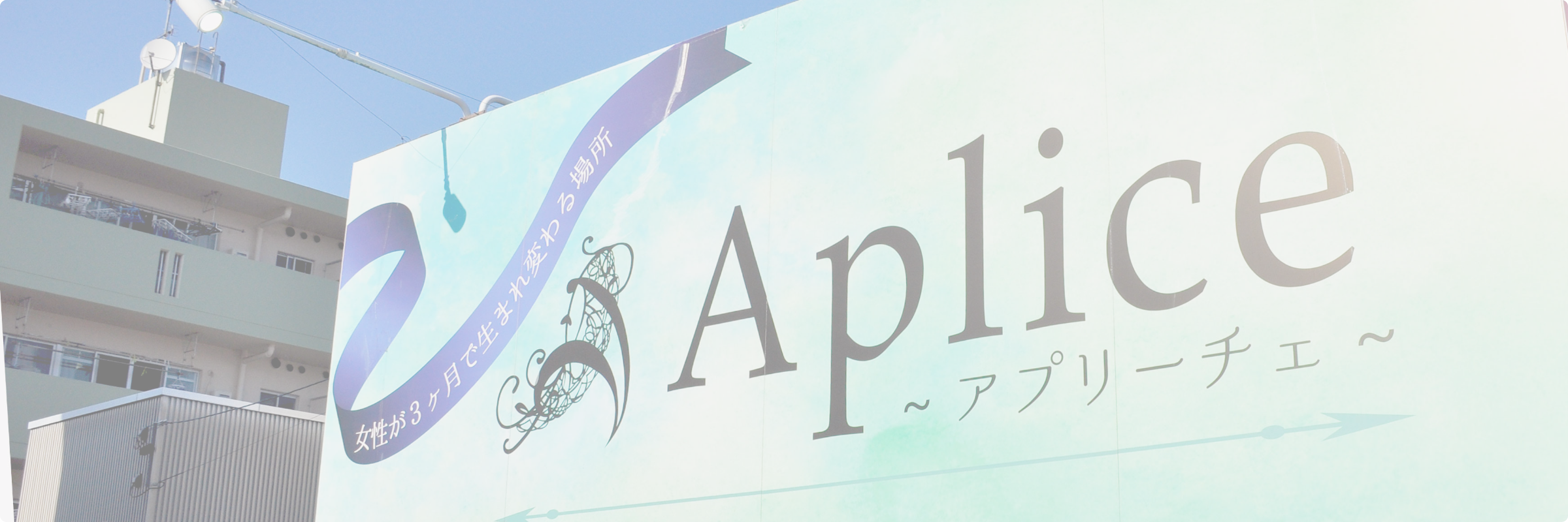 コンセプト | 美容療術院　Aplice（アプリ―チェ）　エステや整体で改善できなかった根本治療