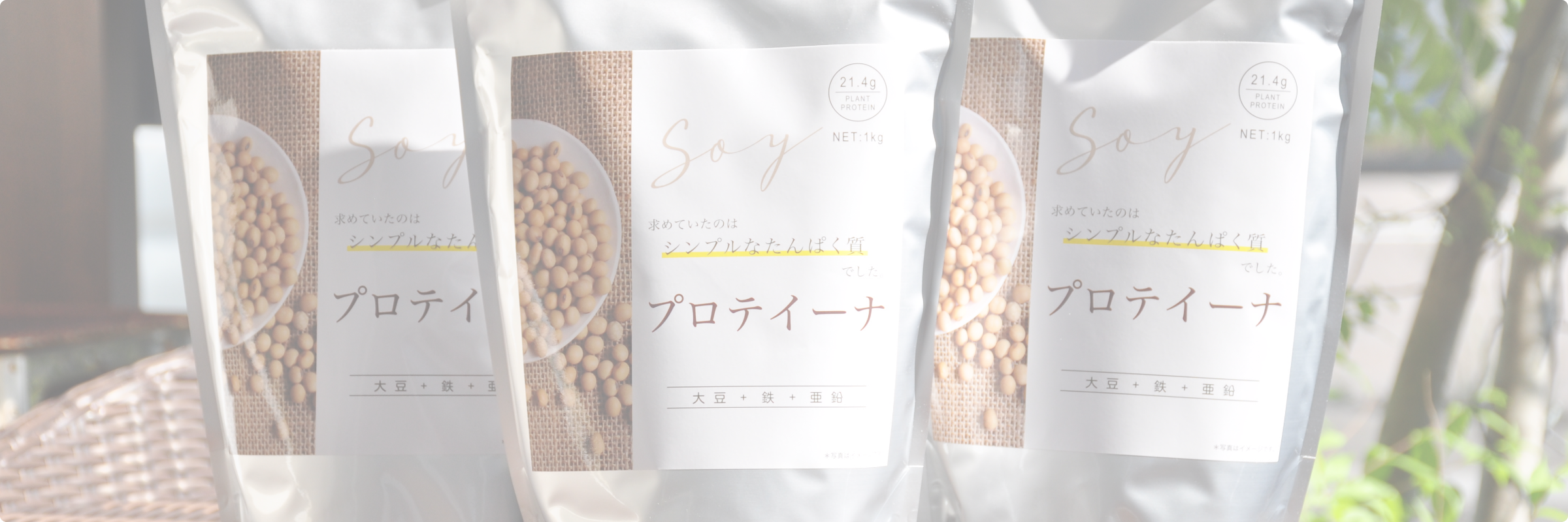 プロテイン | 美容療術院　Aplice（アプリ―チェ）　エステや整体で改善できなかった根本治療